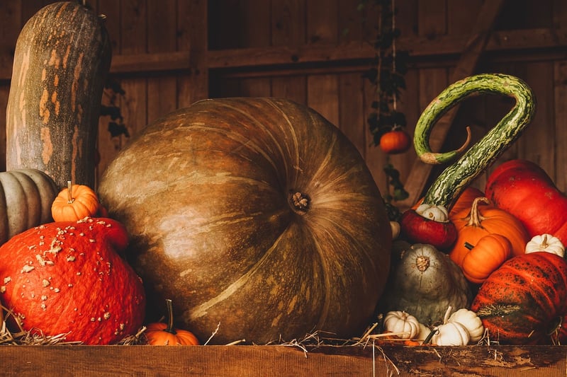 Fall Harvesting Ideas