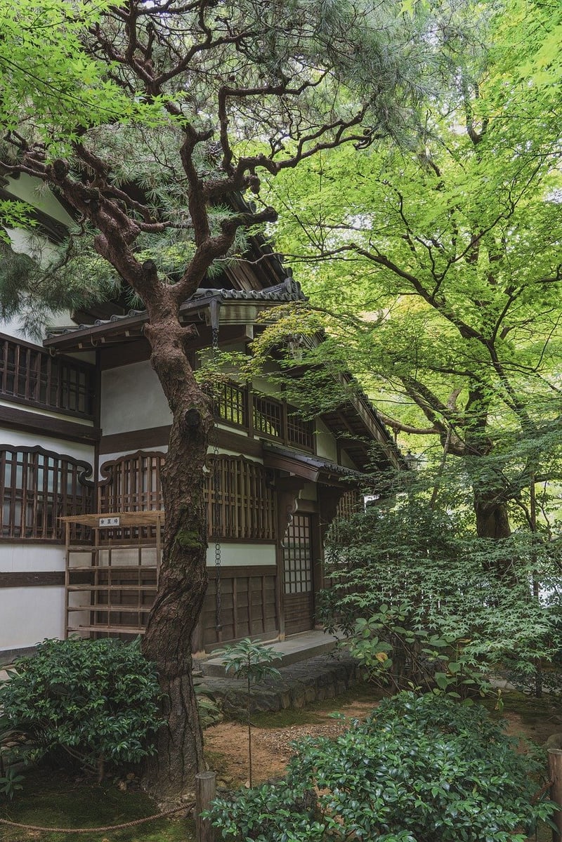 Zen Garden Serenity