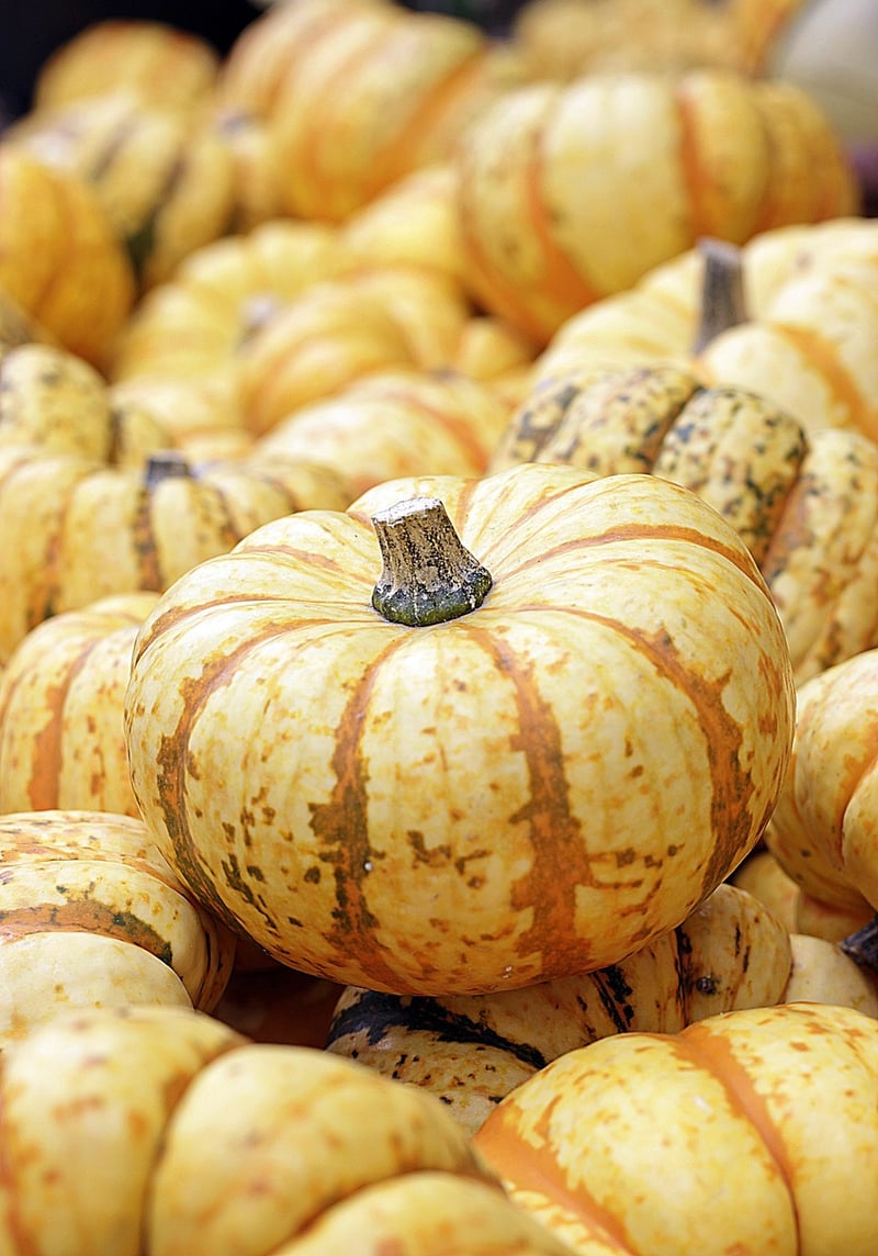Pumpkins