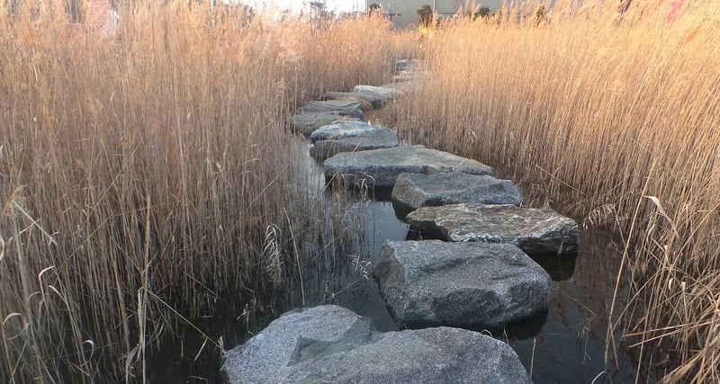 Enchanted Pathways